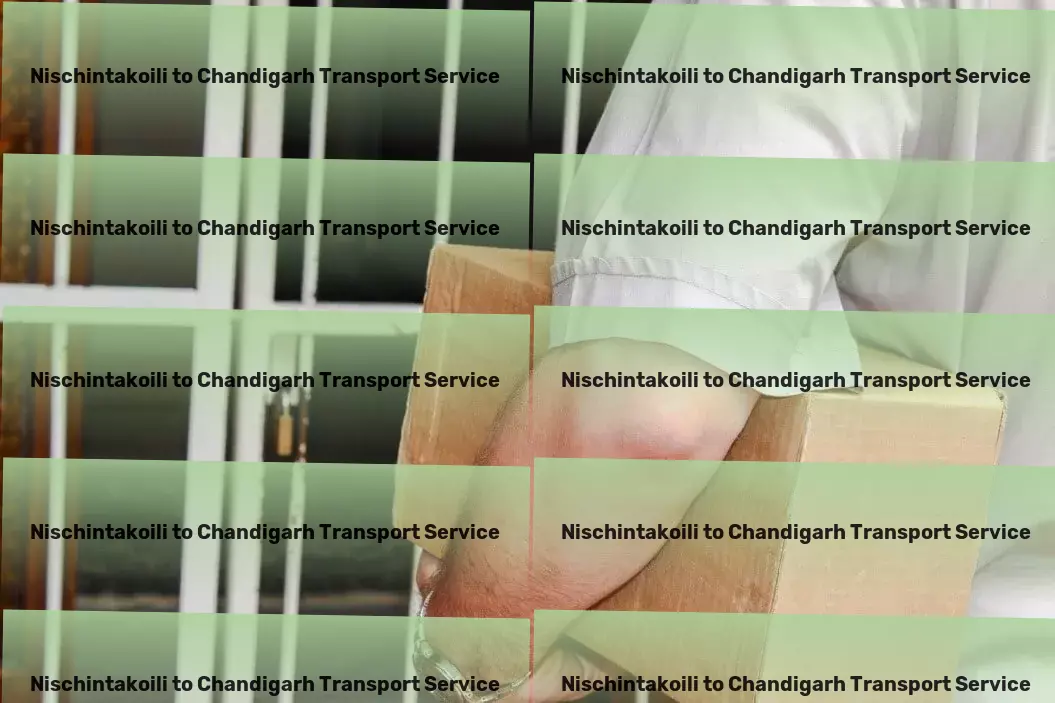 Nischintakoili to Chandigarh Transport Customized freight solutions