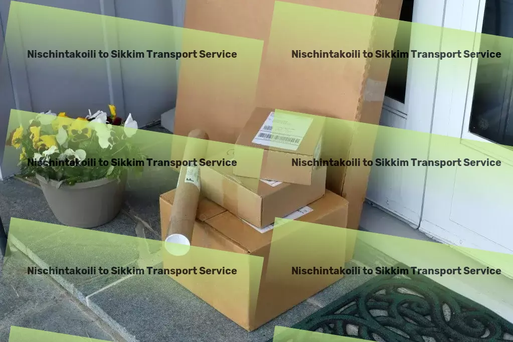 Nischintakoili to Sikkim Transport Efficient cargo transport services