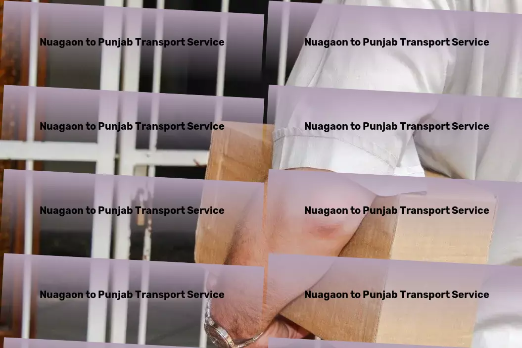 Nuagaon to Punjab Transport Empower your travels with our professional insights! - Professional goods moving