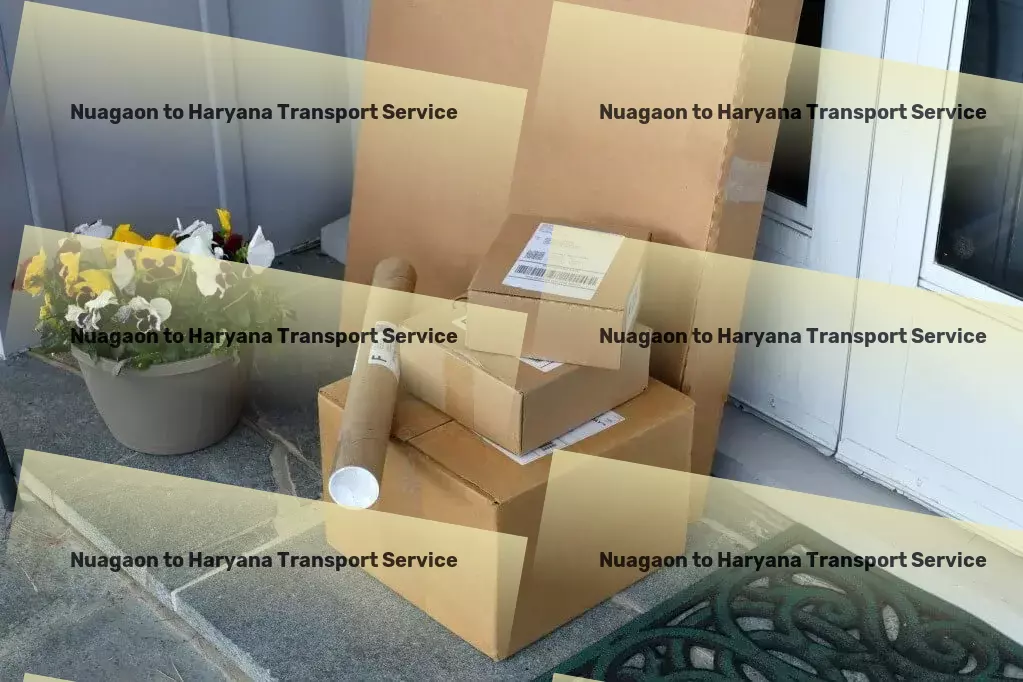 Nuagaon to Haryana Transport Direct package transport