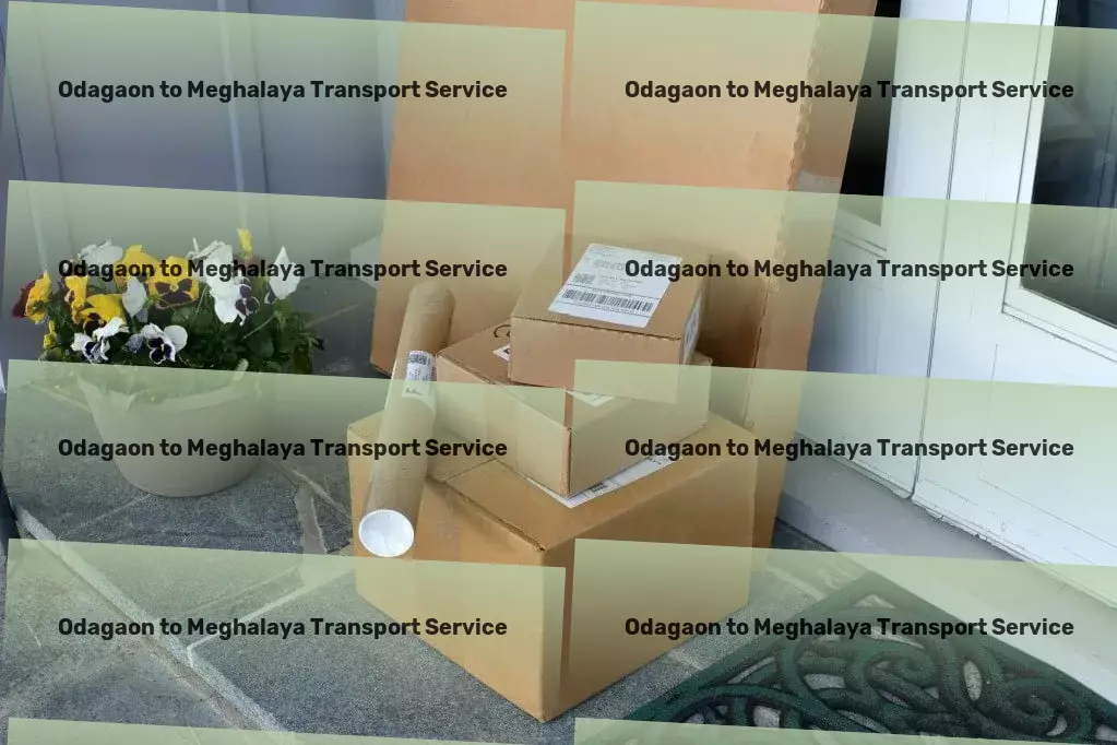 Odagaon to Meghalaya Transport Exceptional logistics support within the Indian market! - Efficient road transport