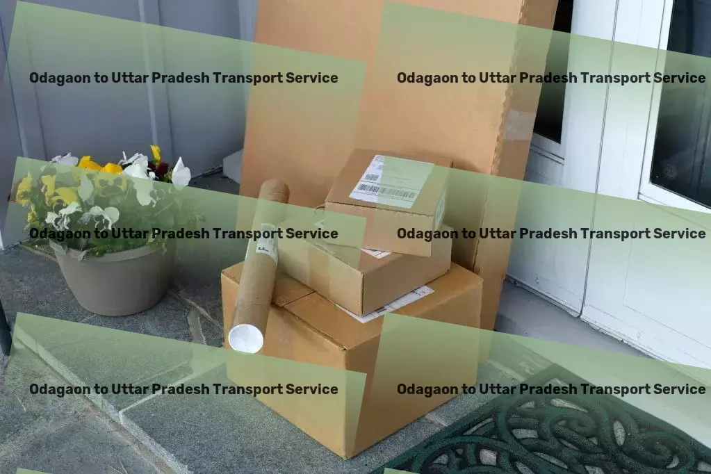 Odagaon to Uttar Pradesh Transport Express package logistics