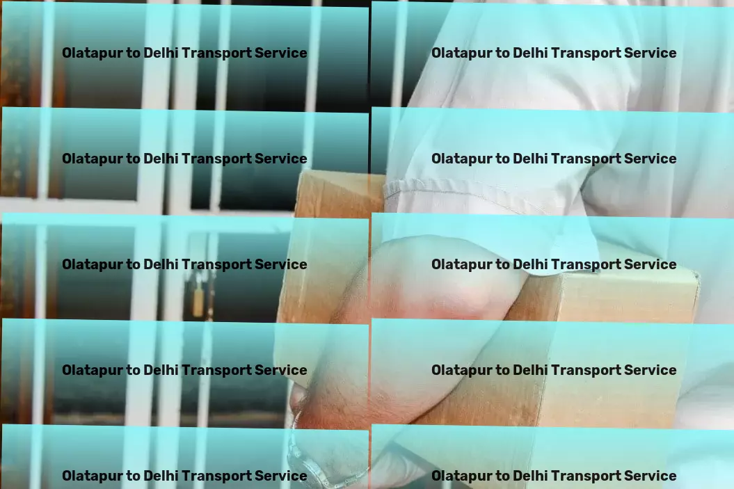 Olatapur to Delhi Transport Complete logistics services