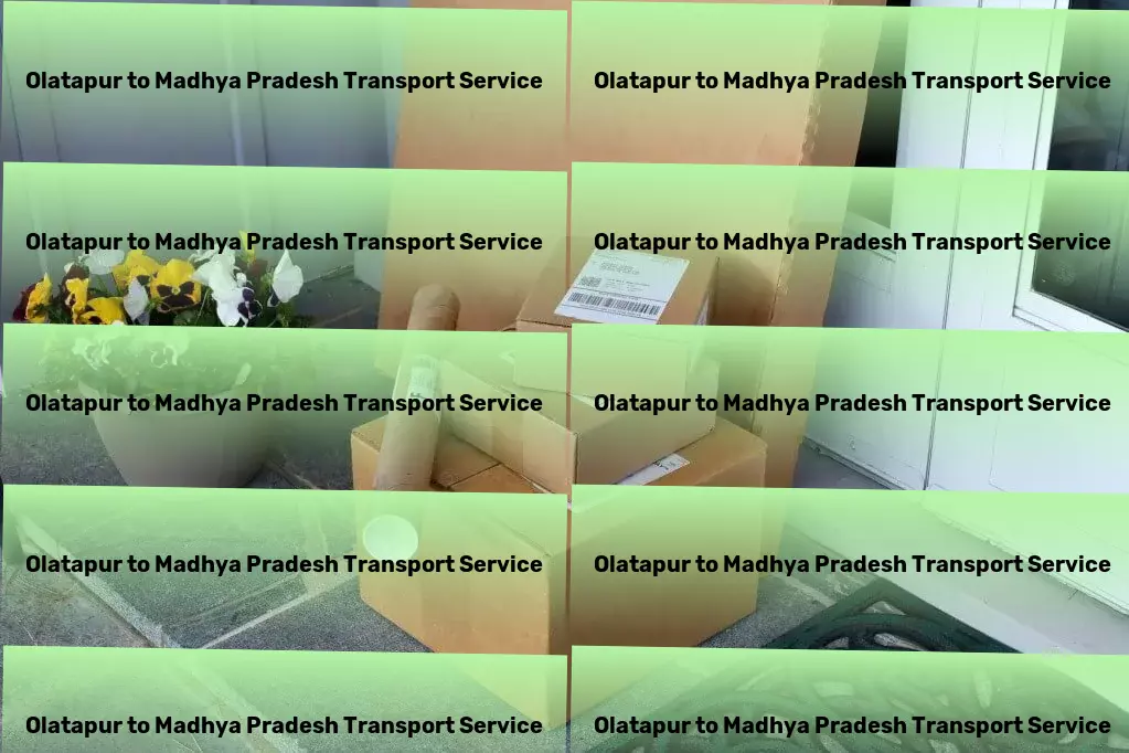 Olatapur to Madhya Pradesh Transport Embark on a seamless logistics journey within India today! - National package forwarding