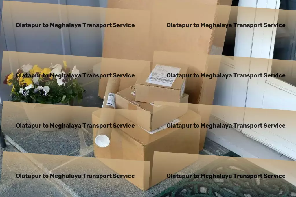 Olatapur to Meghalaya Transport Express household shipment