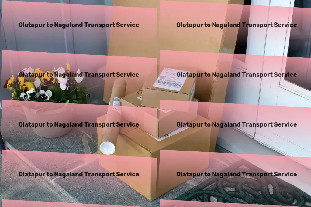 Olatapur to Nagaland Transport Industrial shipping solutions