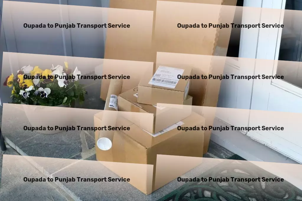 Oupada to Punjab Transport Customized goods shipment services