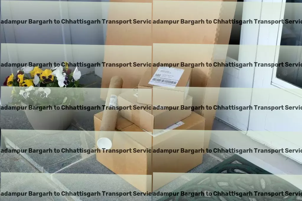 Padampur Bargarh to Chhattisgarh Transport Regional parcel logistics