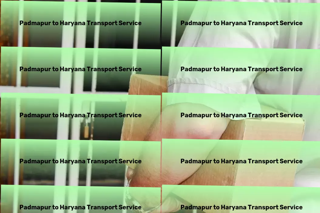 Padmapur to Haryana Transport Innovative logistics solutions