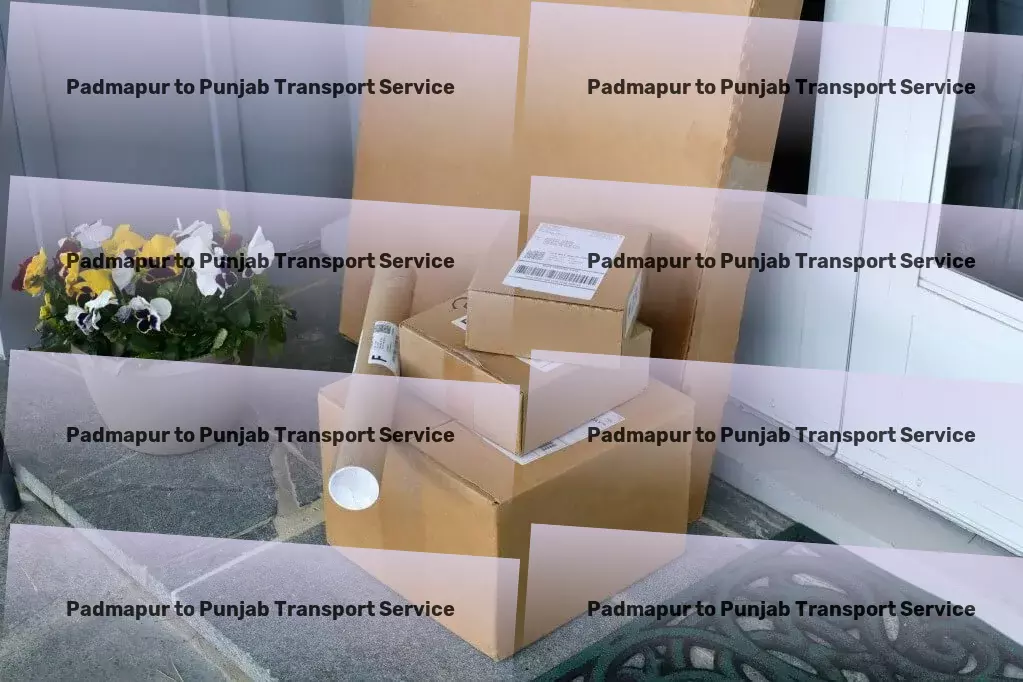 Padmapur to Punjab Transport Efficient moving solutions