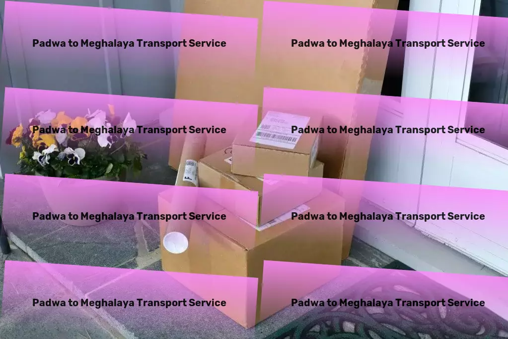 Padwa to Meghalaya Transport Professional freight forwarding