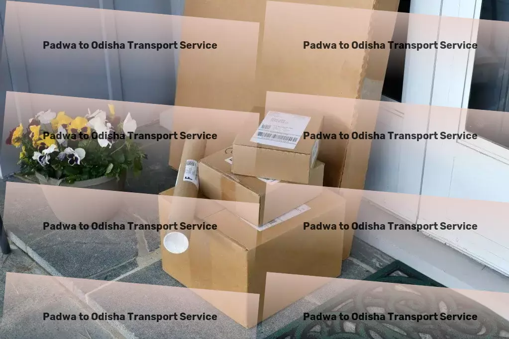 Padwa to Odisha Transport Nationwide package delivery