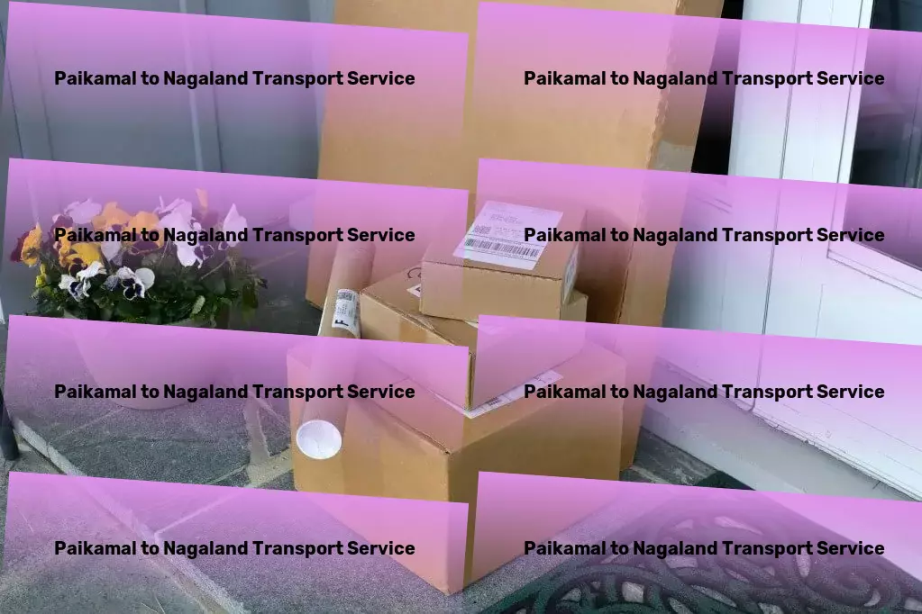 Paikamal to Nagaland Transport Fast package logistics