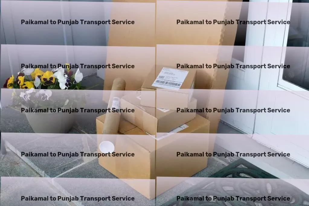 Paikamal to Punjab Transport Comprehensive package forwarding