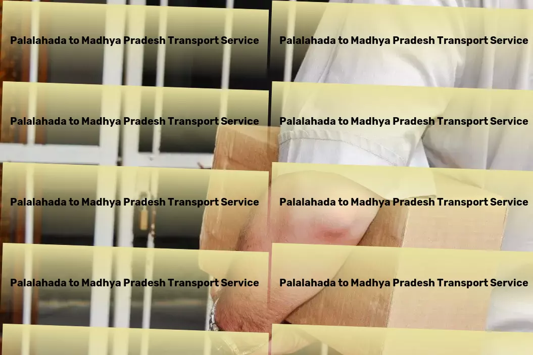 Palalahada to Madhya Pradesh Transport Customized transport services to fit India's needs perfectly! - Quick freight shipping services