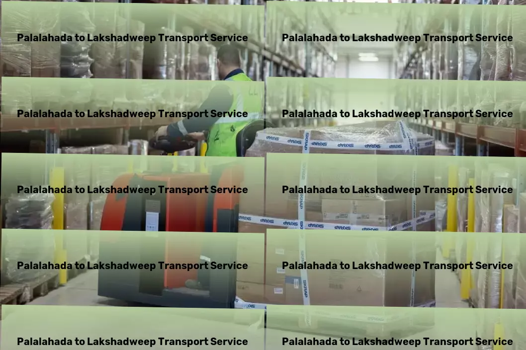 Palalahada to Lakshadweep Transport Customized logistics solutions