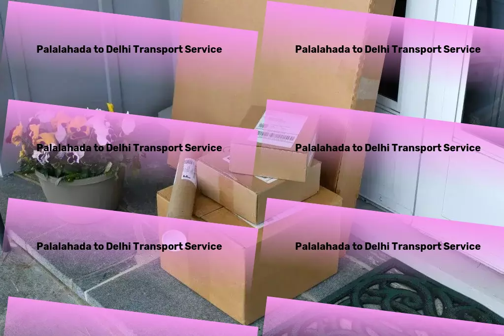 Palalahada to Delhi Transport Multi-regional freight forwarding