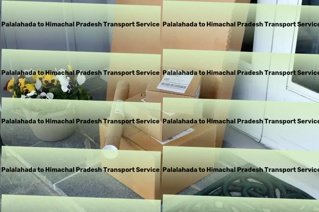 Palalahada to Himachal Pradesh Transport Freight transport solutions