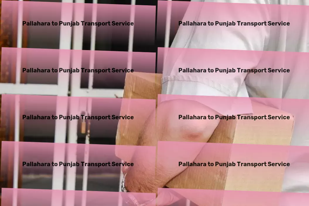 Pallahara to Punjab Transport Road delivery solutions