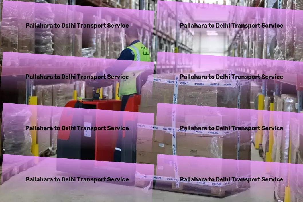 Pallahara to Delhi Transport Professional transporter services