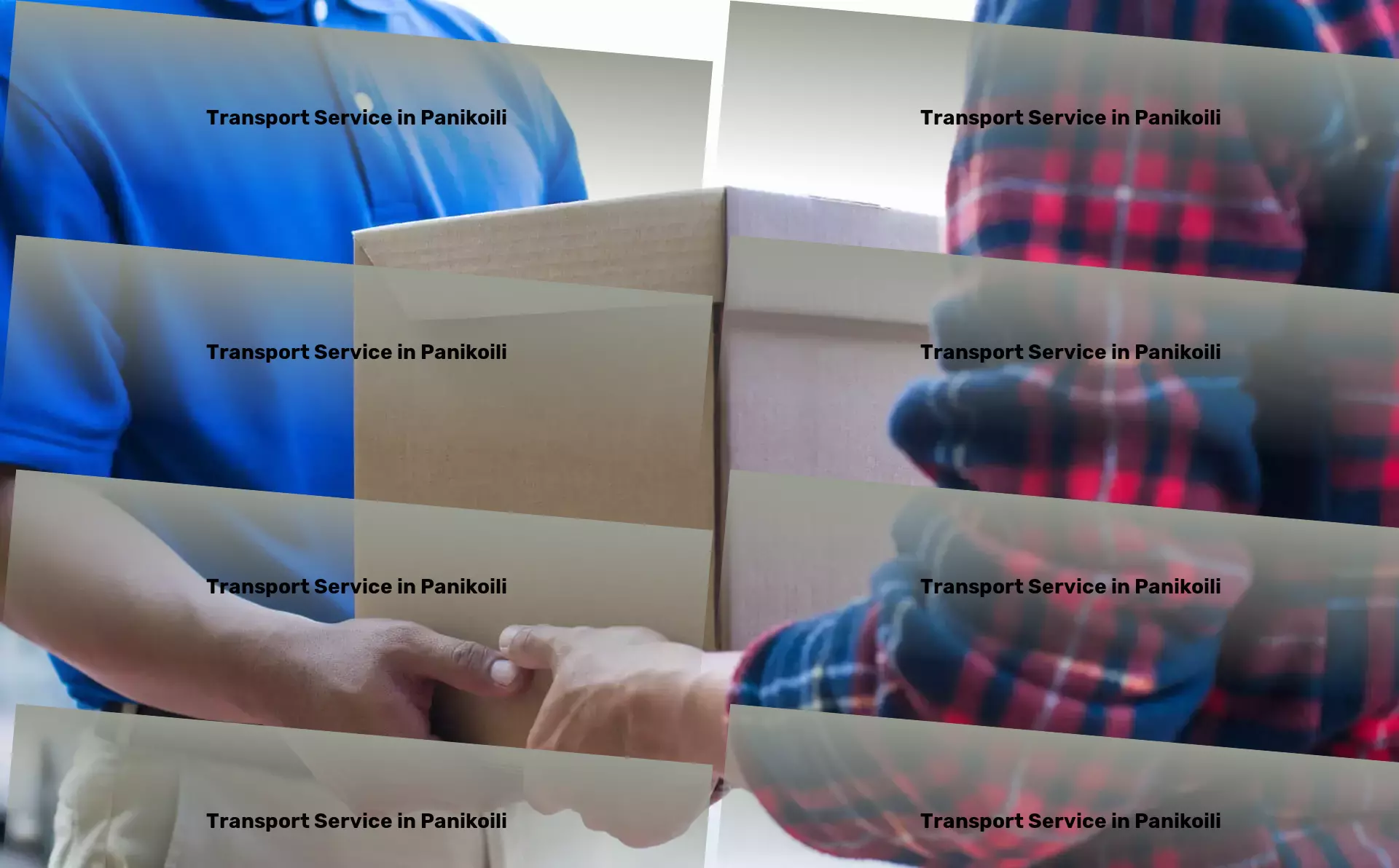 Packers And Movers in Panikoili, Odisha (OR) Optimize your logistic processes within the dynamic Indian market! - Express cargo solutions