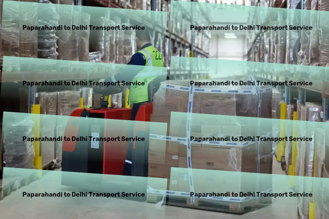 Paparahandi to Delhi Transport Cross-state freight services