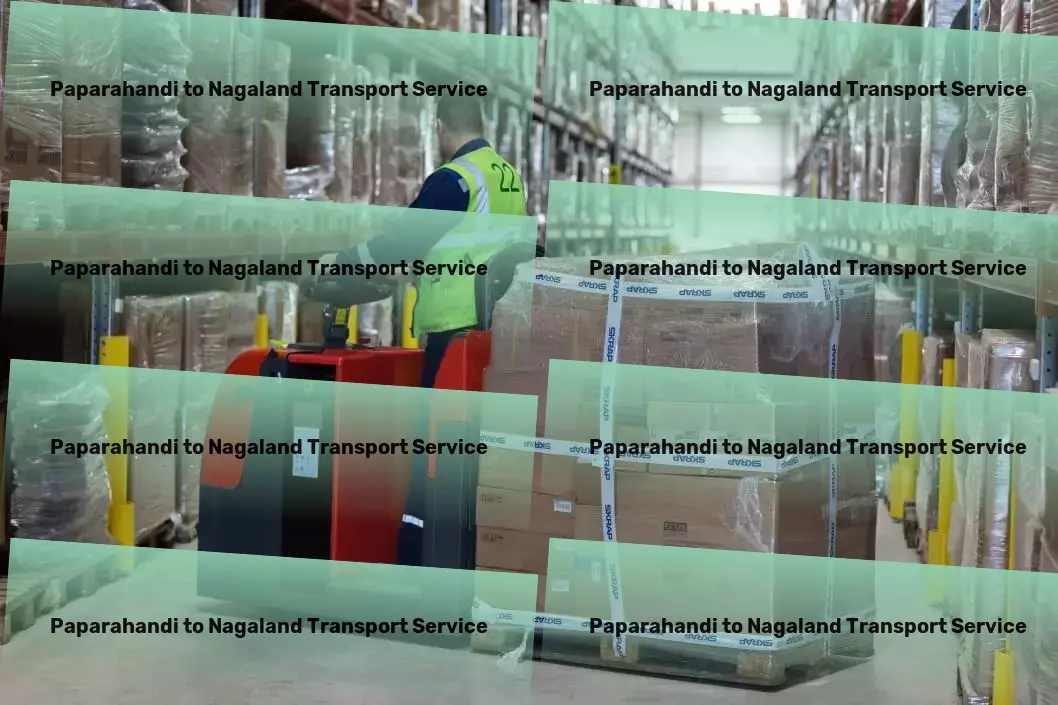 Paparahandi to Nagaland Transport Where every logistical challenge finds an innovative solution in India. - Efficient package transport