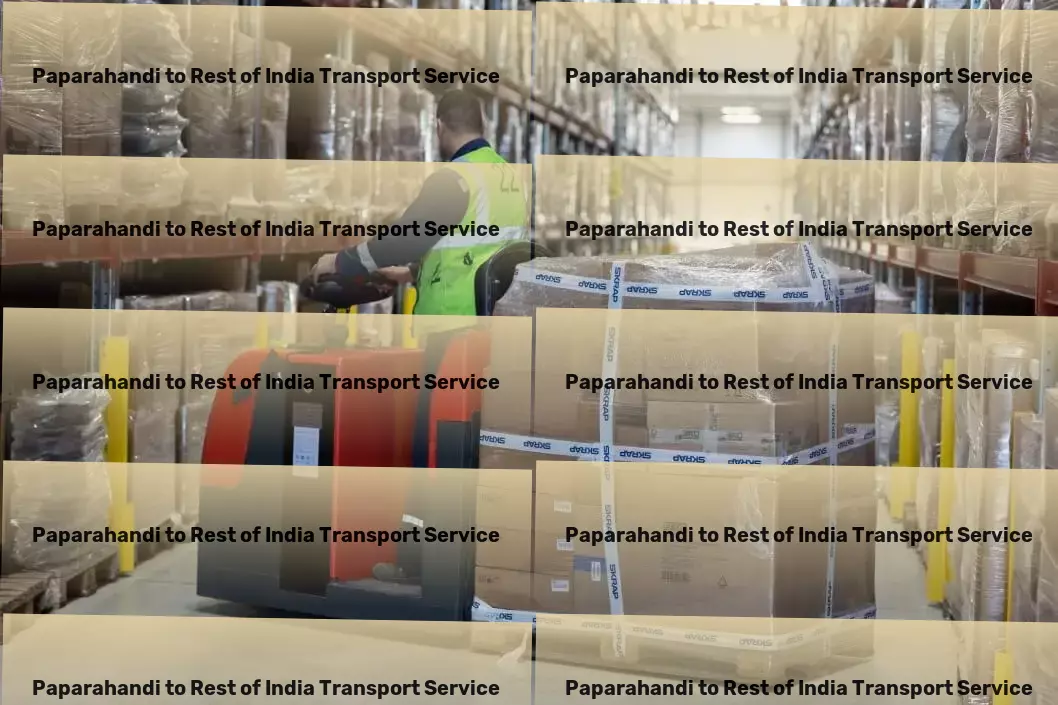 Paparahandi to Rest Of India Transport From small parcels to large hauls - transporting throughout India. - Comprehensive logistic operations