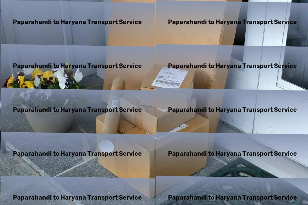 Paparahandi to Haryana Transport Industrial package transport