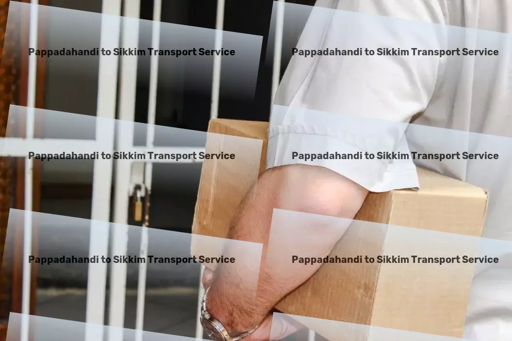 Pappadahandi to Sikkim Transport Large-scale shipping services