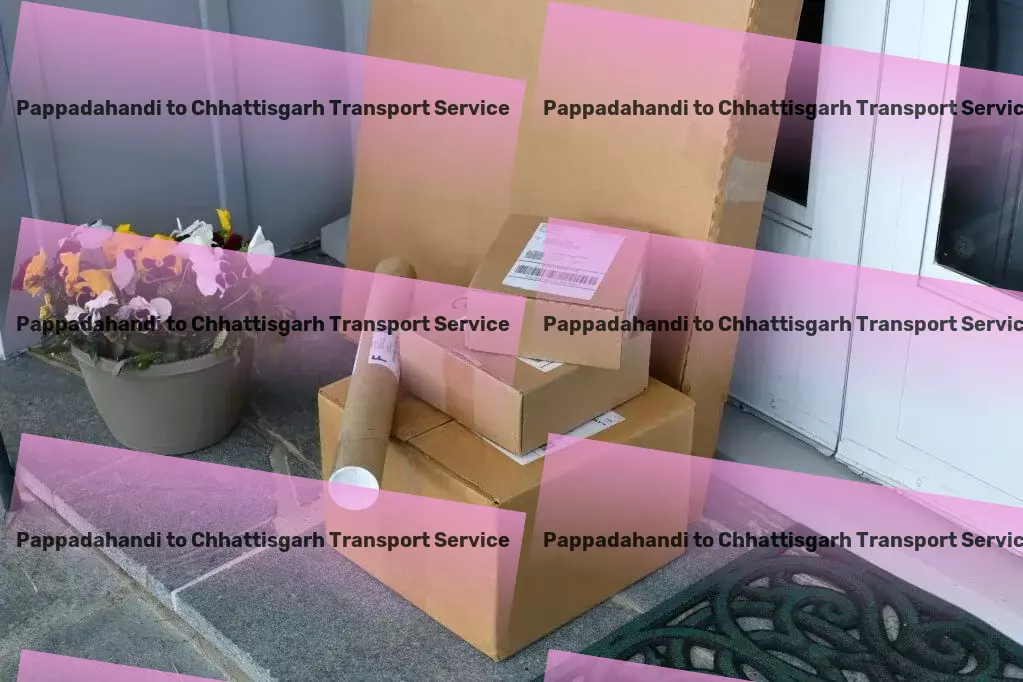 Pappadahandi to Chhattisgarh Transport Customized moving solutions