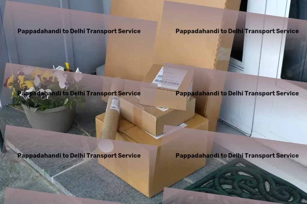 Pappadahandi to Delhi Transport Long-haul cargo delivery