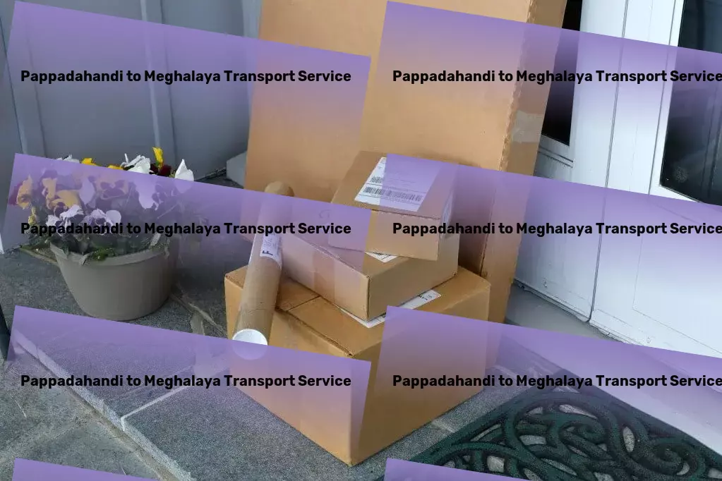 Pappadahandi to Meghalaya Transport Streamlining every step of your goods journey in India. - Large package delivery