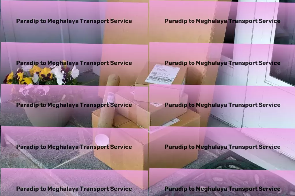 Paradip to Meghalaya Transport Express movers services